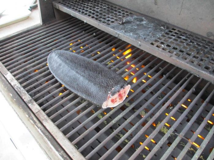 Name:  Raw_Tail.jpg
Views: 1023
Size:  68.4 KB