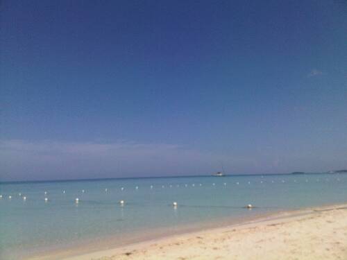 Click image for larger version. 

Name:	Jamaica 2010 Fed 092.jpg 
Views:	697 
Size:	12.7 KB 
ID:	3209