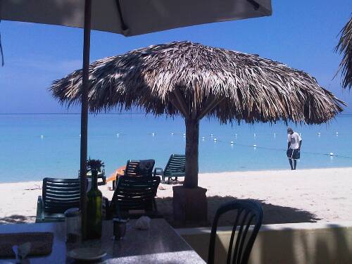 Click image for larger version. 

Name:	Jamaica 2010 Fed 096.jpg 
Views:	686 
Size:	34.5 KB 
ID:	3210