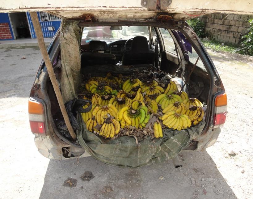 Name:  negril1.jpg
Views: 938
Size:  96.7 KB