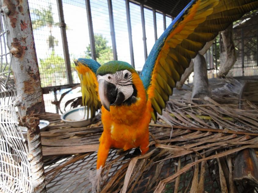 Name:  Dude - Feb - 13.jpg
Views: 925
Size:  96.7 KB