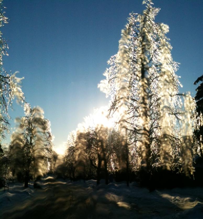 Name:  photo (25).jpg
Views: 284
Size:  89.1 KB