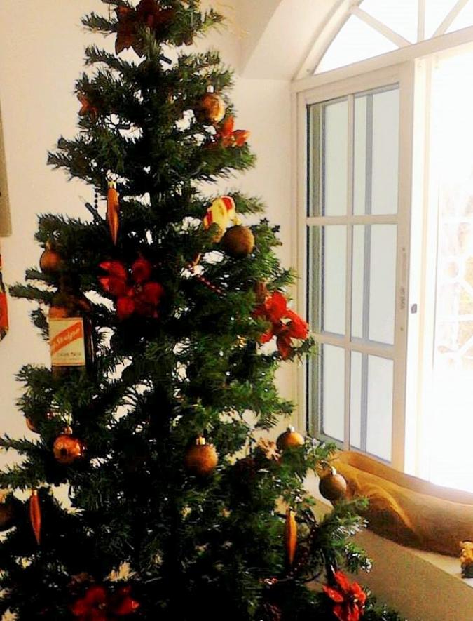 Name:  xmastree (2).jpg
Views: 233
Size:  93.5 KB