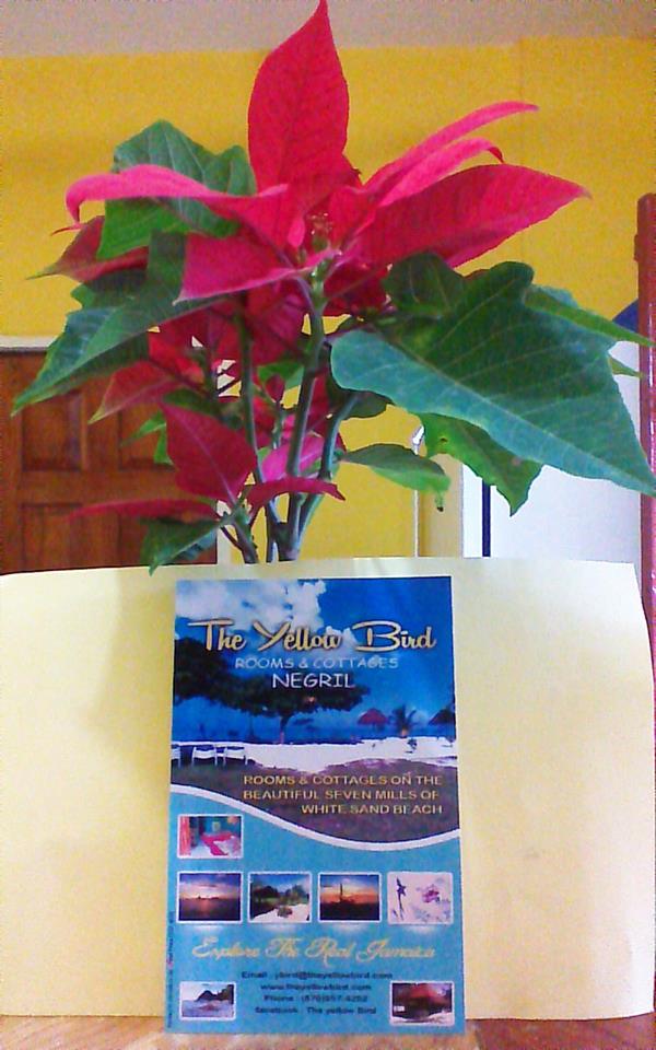 Name:  Christmas.jpg
Views: 121
Size:  78.5 KB