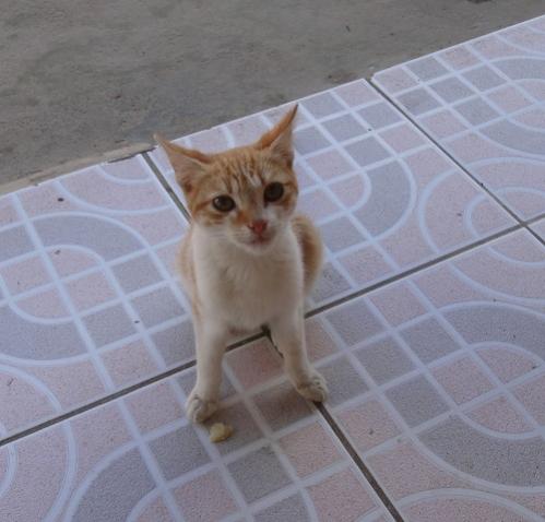 Name:  neg1.jpg
Views: 824
Size:  29.6 KB