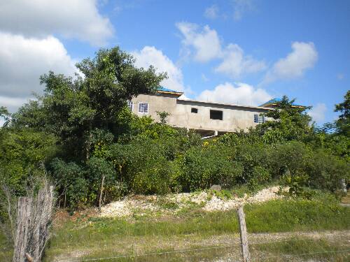 Click image for larger version. 

Name:	Jamaica 2010 photos (908).jpg 
Views:	612 
Size:	44.7 KB 
ID:	3227