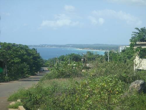 Click image for larger version. 

Name:	Angies photos Jamaica 2010 305.jpg 
Views:	607 
Size:	35.5 KB 
ID:	3229