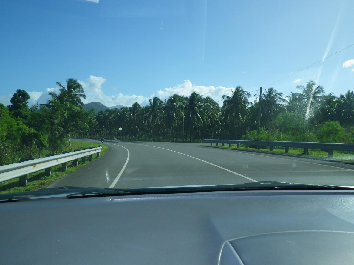 Name:  Jamaica 2013 040.jpg
Views: 871
Size:  90.3 KB