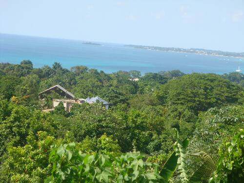 Click image for larger version. 

Name:	Angies photos Jamaica 2010 308.jpg 
Views:	614 
Size:	42.8 KB 
ID:	3230