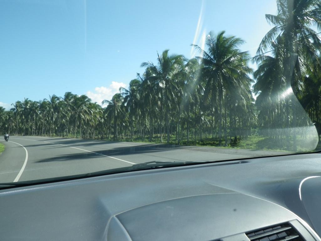 Name:  Jamaica 2013 041.jpg
Views: 842
Size:  92.9 KB