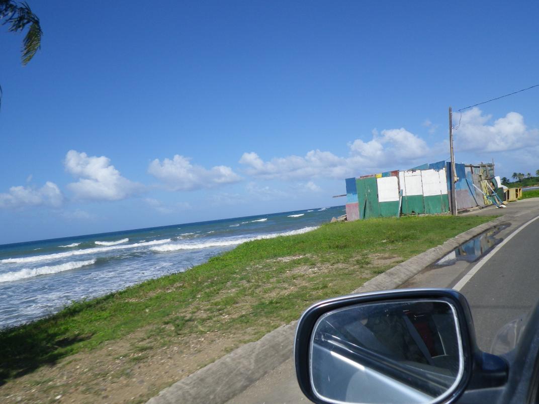 Name:  Jamaica 2013 049.jpg
Views: 888
Size:  90.7 KB