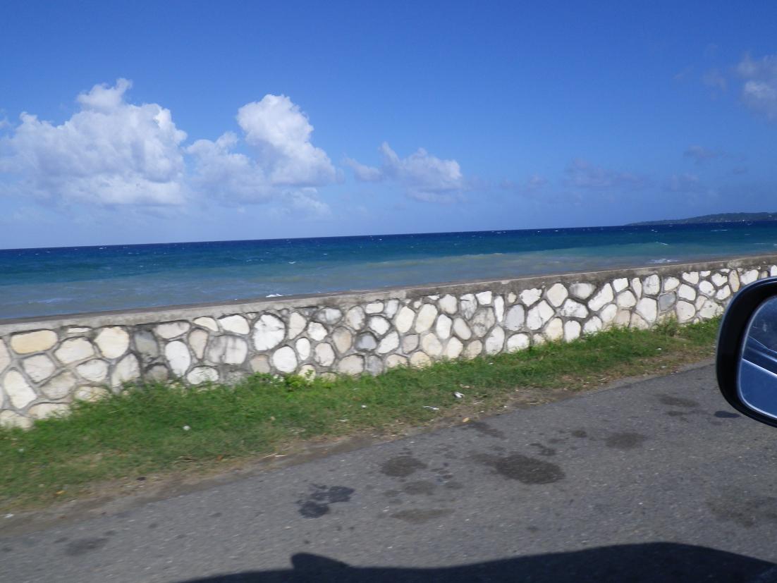 Name:  Jamaica 2013 055.jpg
Views: 883
Size:  88.8 KB