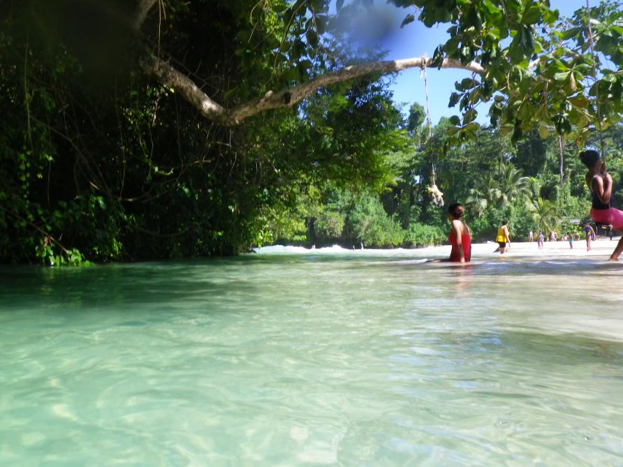 Name:  Jamaica 2013 072.jpg
Views: 1113
Size:  94.4 KB