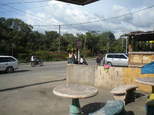 Click image for larger version. 

Name:	Jamaica 2010 photos (921).jpg 
Views:	612 
Size:	37.4 KB 
ID:	3233