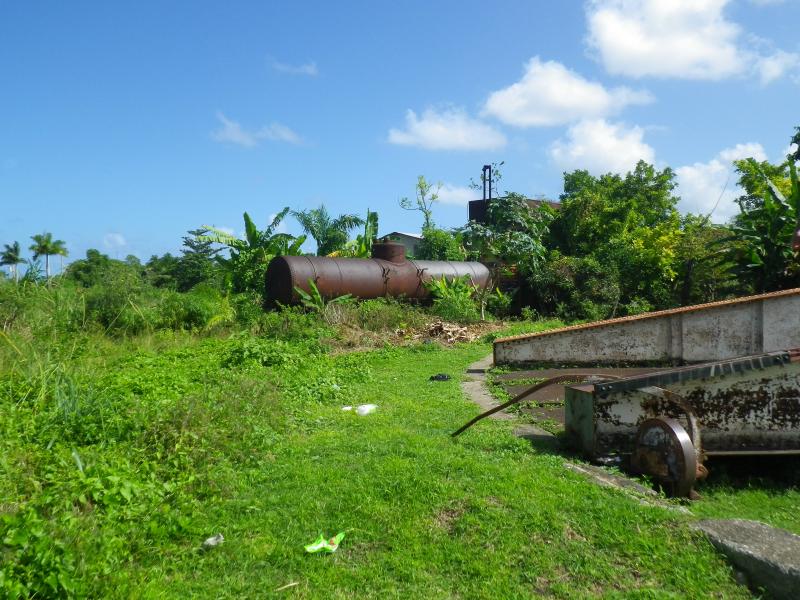 Name:  Jamaica 2013 109.jpg
Views: 998
Size:  96.8 KB