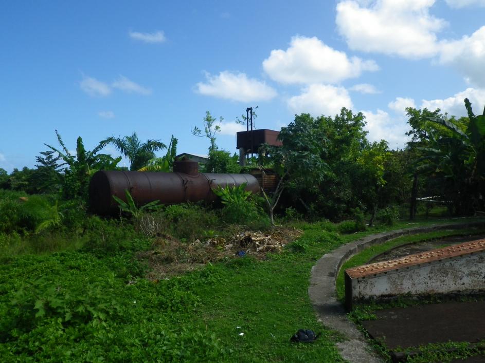 Name:  Jamaica 2013 111.jpg
Views: 1029
Size:  94.4 KB