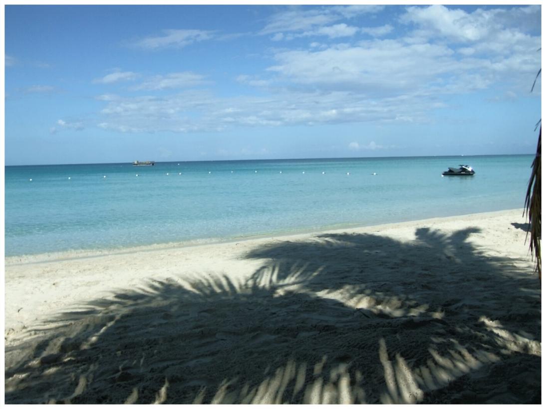 Name:  Dec.30 peaceful.jpg
Views: 394
Size:  85.4 KB