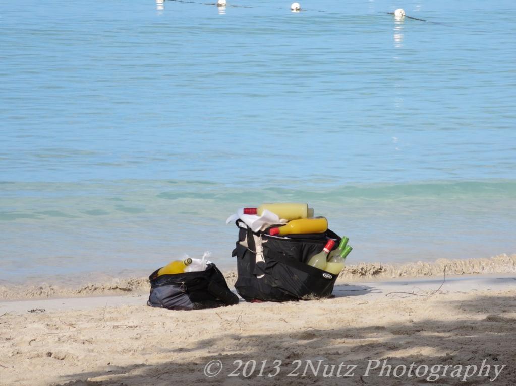 Name:  IMG_0133 (Copy).jpg
Views: 524
Size:  83.9 KB