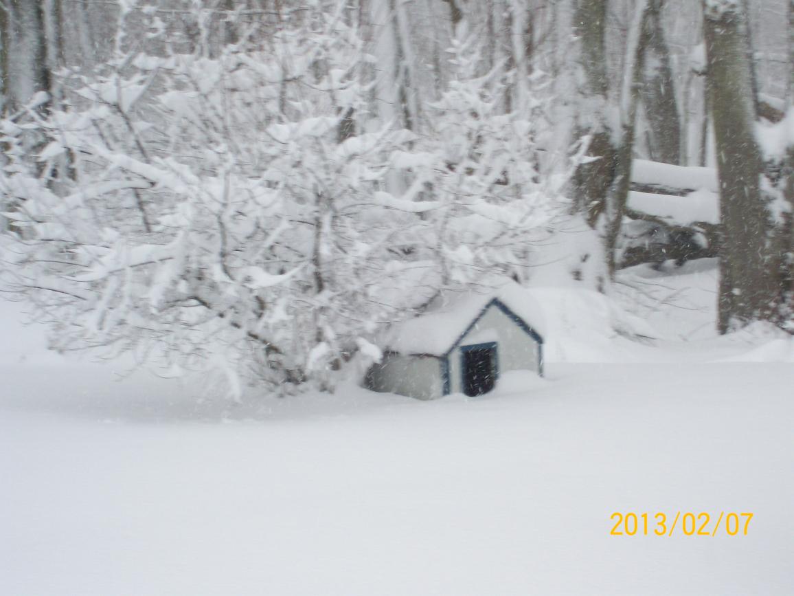 Name:  100_3263.jpg
Views: 488
Size:  85.6 KB