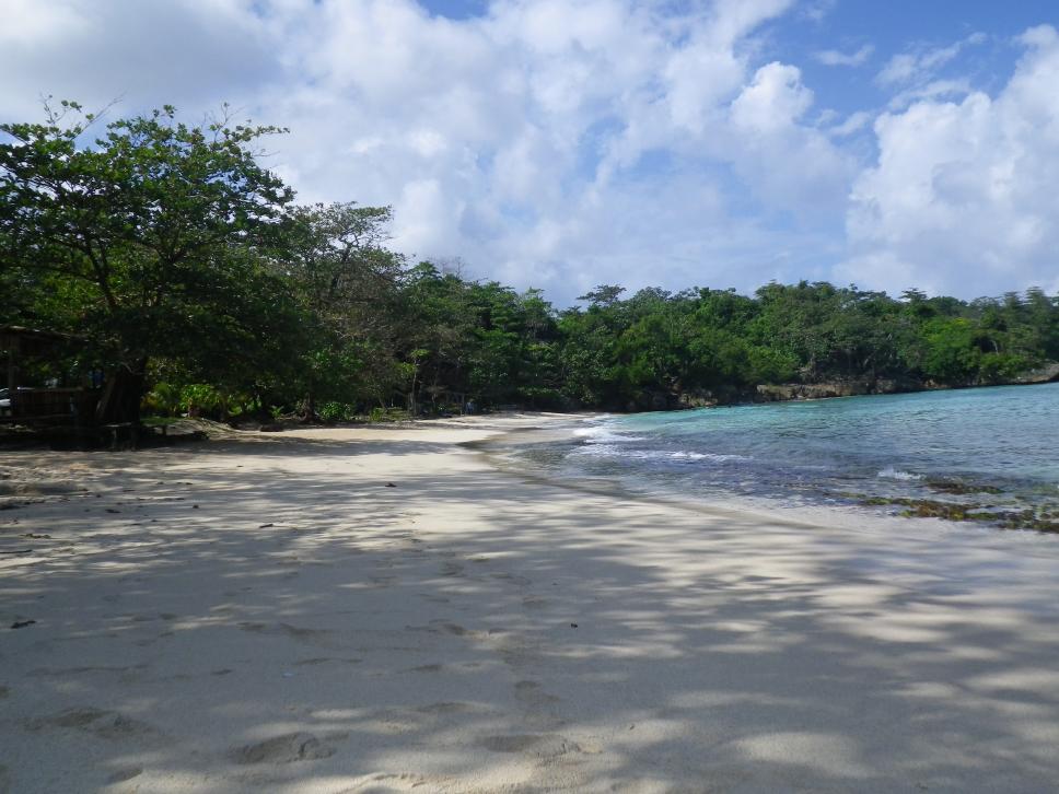Name:  Jamaica 2013 155.jpg
Views: 946
Size:  94.0 KB