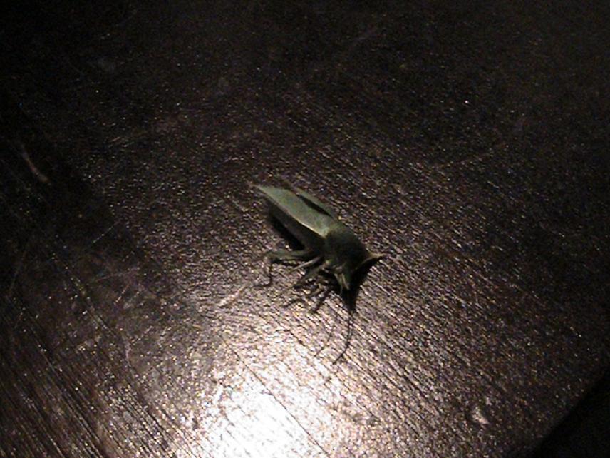 Name:  IMG_1139.jpg
Views: 254
Size:  96.4 KB