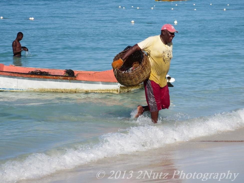 Name:  IMG_0209 (Copy).jpg
Views: 462
Size:  92.6 KB
