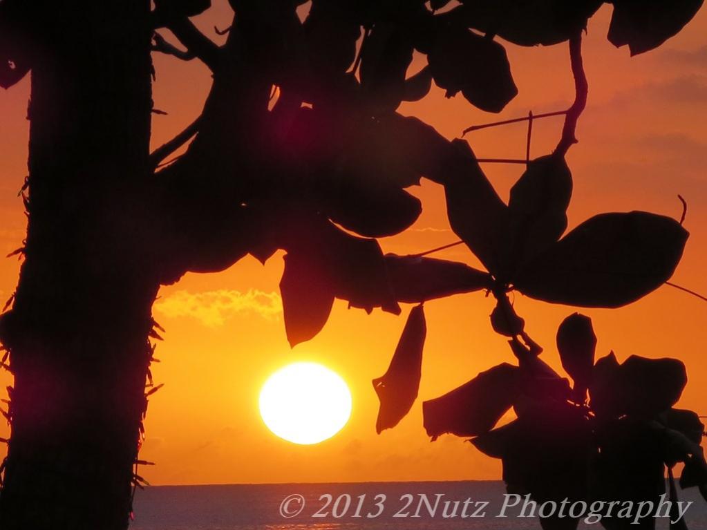 Name:  IMG_0160 (Copy).jpg
Views: 442
Size:  56.9 KB