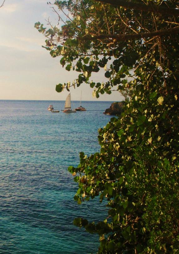 Name:  Negril 2014 001.jpg
Views: 690
Size:  99.6 KB