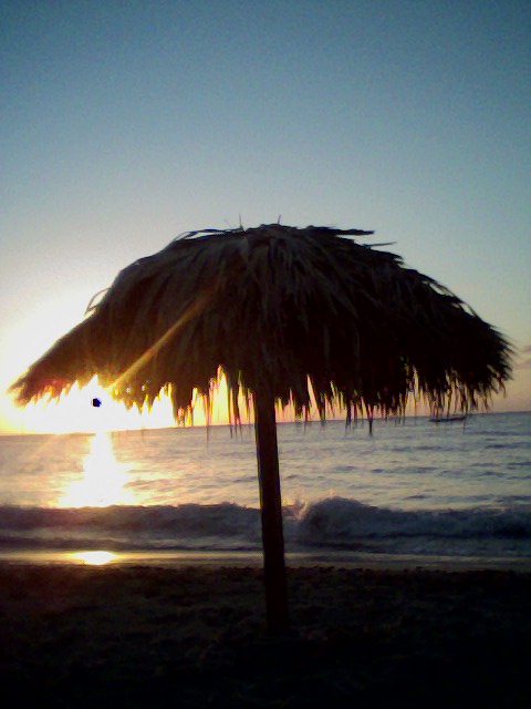 Name:  IMG_20131202_062823.jpg
Views: 284
Size:  83.6 KB