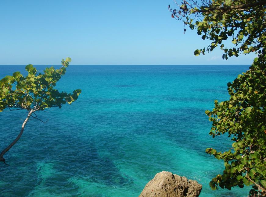 Name:  Negril 2014 007.jpg
Views: 319
Size:  95.7 KB