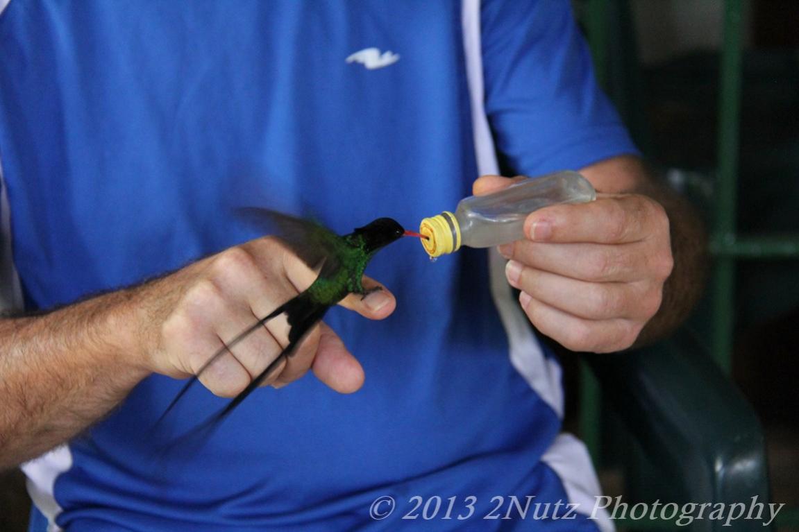 Name:  IMG_3067 (Copy).jpg
Views: 340
Size:  70.5 KB