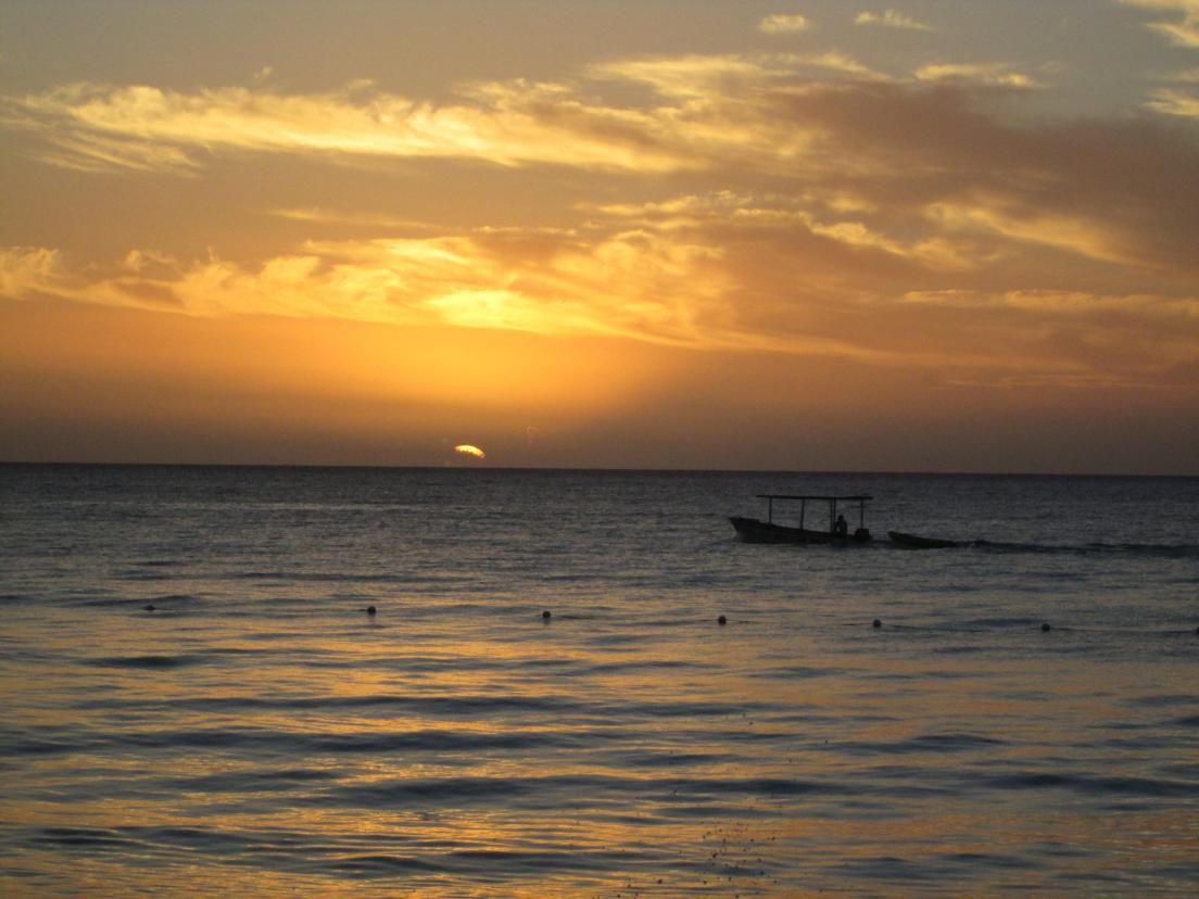 Name:  IMG_0994.jpg
Views: 377
Size:  89.4 KB