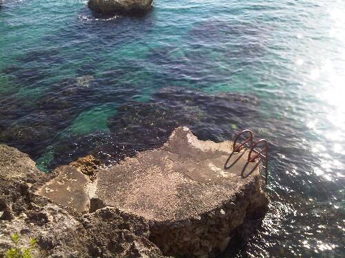 Click image for larger version. 

Name:	Jamaica 2010 Fed 129.jpg 
Views:	579 
Size:	49.7 KB 
ID:	3259