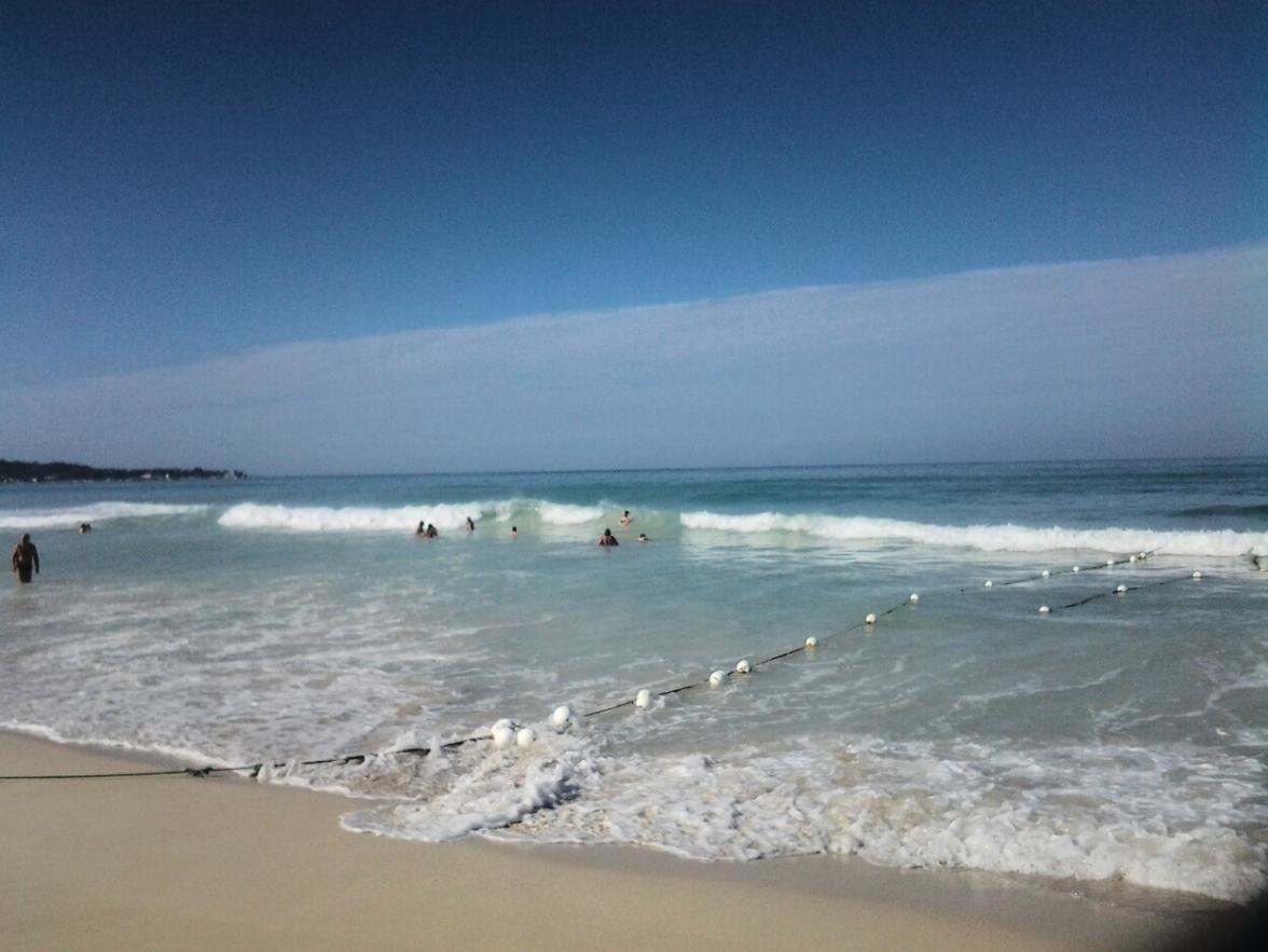 Name:  Jan.8 waves.jpg
Views: 631
Size:  92.7 KB