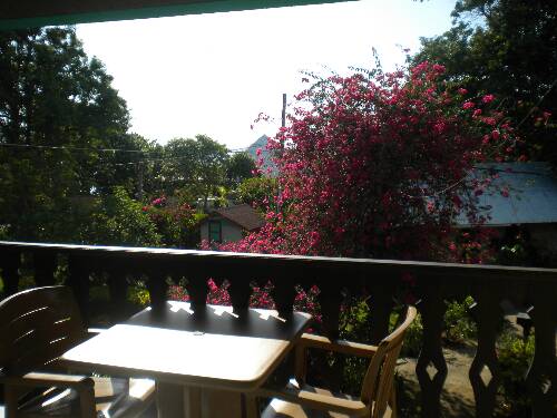 Click image for larger version. 

Name:	Jamaica 2010 photos (928).jpg 
Views:	573 
Size:	37.8 KB 
ID:	3262