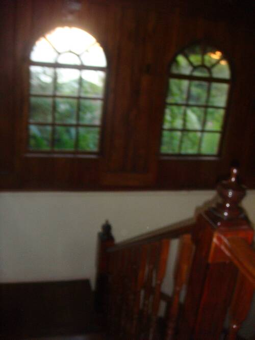Click image for larger version. 

Name:	Angies photos Jamaica 2010 387.jpg 
Views:	553 
Size:	23.6 KB 
ID:	3266