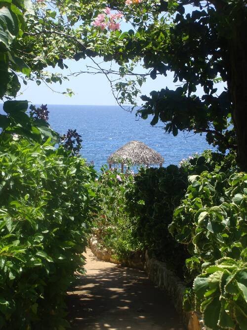 Click image for larger version. 

Name:	Angies photos Jamaica 2010 291.jpg 
Views:	518 
Size:	86.7 KB 
ID:	3279