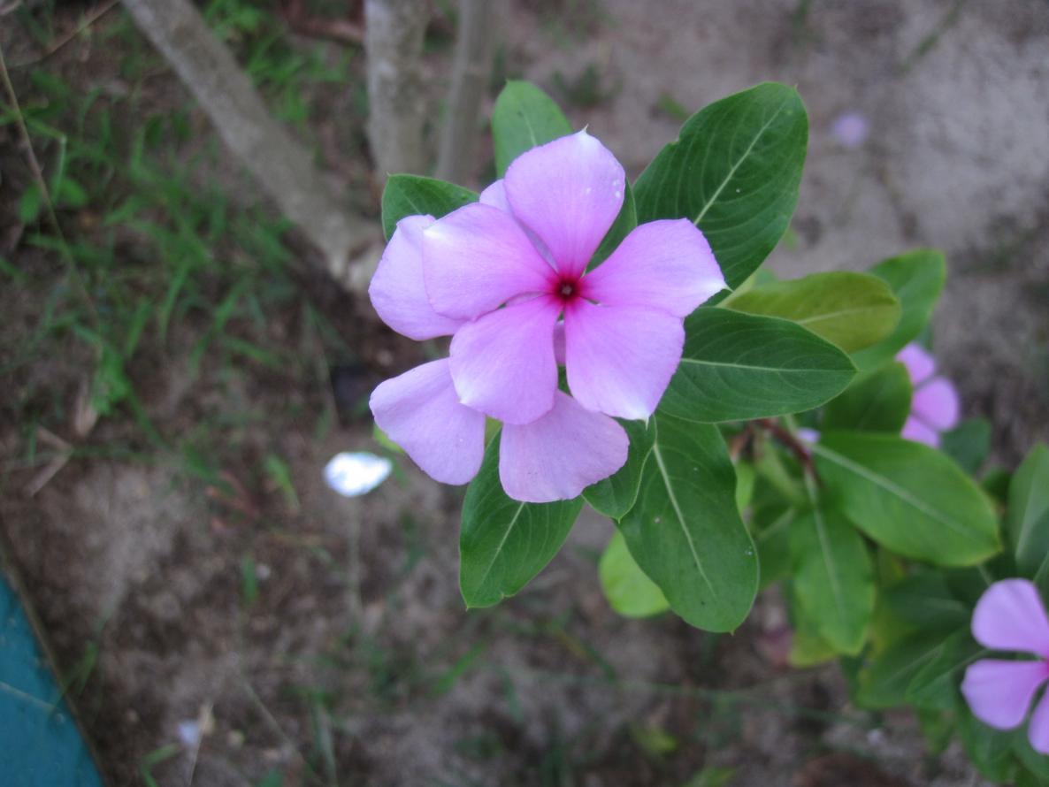 Name:  IMG_2519.jpg
Views: 642
Size:  81.7 KB