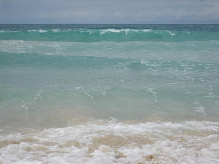 Name:  z1.jpg
Views: 863
Size:  50.0 KB