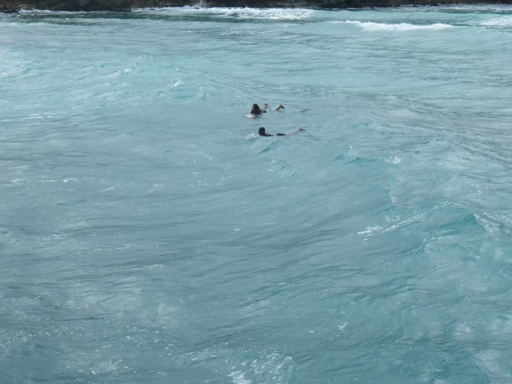 Name:  Jamaica 2012 2013 125.jpg
Views: 658
Size:  92.6 KB