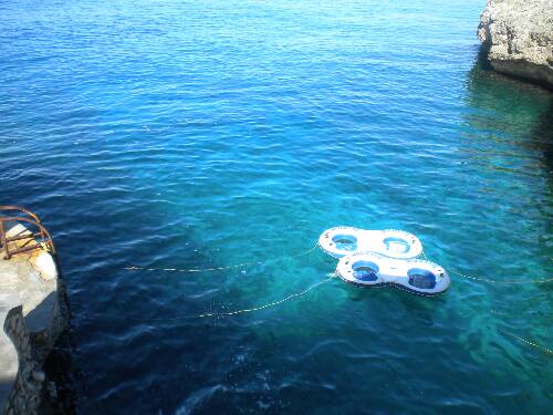 Click image for larger version. 

Name:	Jamaica 2010 photos (1018).jpg 
Views:	503 
Size:	36.6 KB 
ID:	3304
