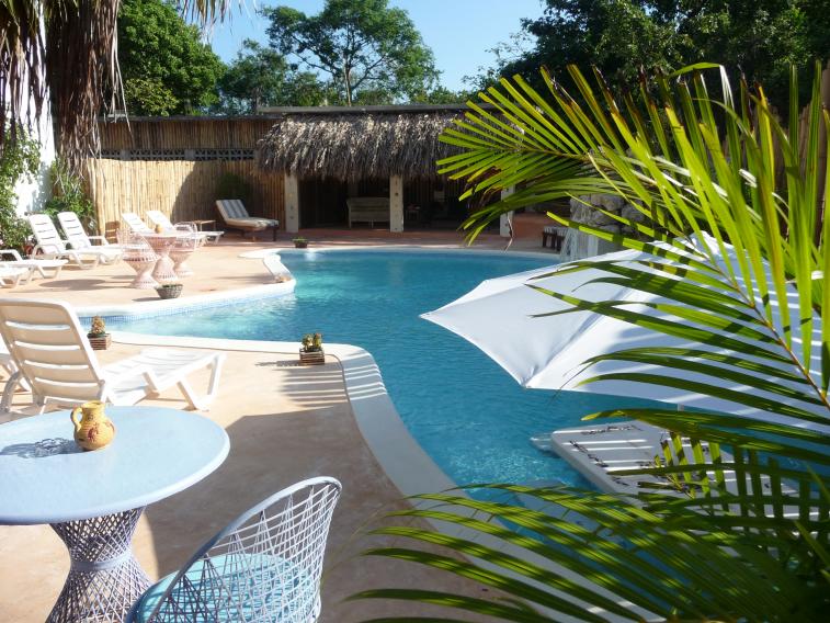 Name:  pool pic with plant.jpg
Views: 372
Size:  99.7 KB