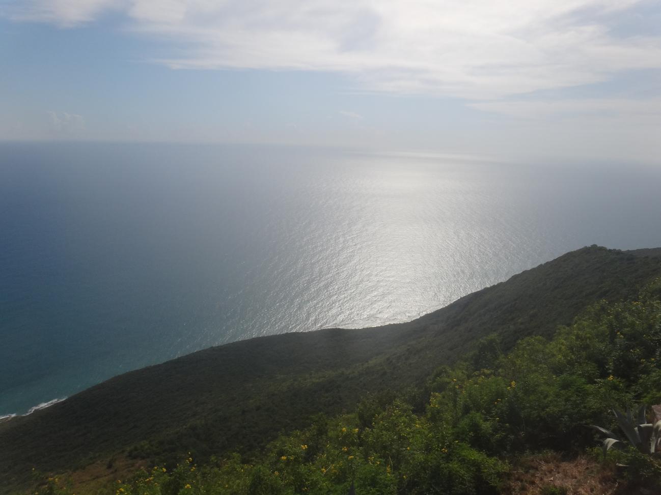 Name:  398.jpg
Views: 1066
Size:  93.4 KB