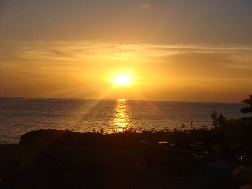 Click image for larger version. 

Name:	Angies photos Jamaica 2010 393.jpg 
Views:	505 
Size:	16.1 KB 
ID:	3311