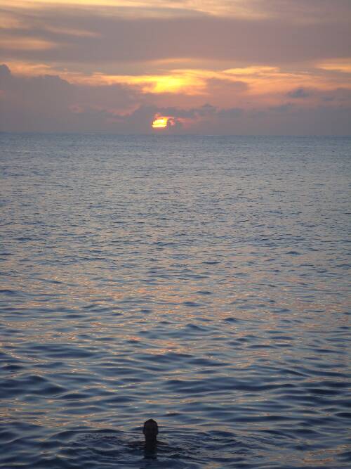 Click image for larger version. 

Name:	Angies photos Jamaica 2010 407.jpg 
Views:	541 
Size:	48.6 KB 
ID:	3316
