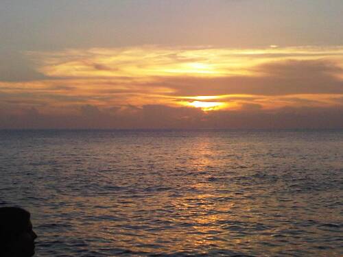 Click image for larger version. 

Name:	Jamaica 2010 Fed 151.jpg 
Views:	520 
Size:	26.6 KB 
ID:	3319