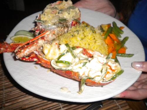Click image for larger version. 

Name:	Jamaica 2010 photos (968).jpg 
Views:	501 
Size:	30.9 KB 
ID:	3331