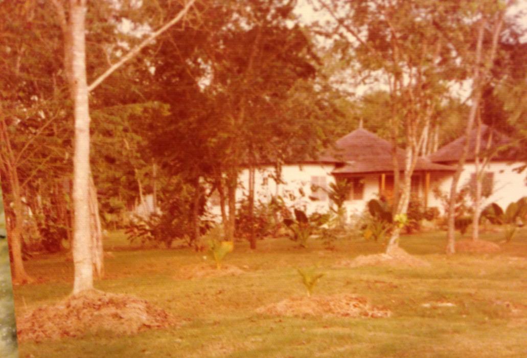 Name:  mirage .jpg
Views: 545
Size:  91.4 KB