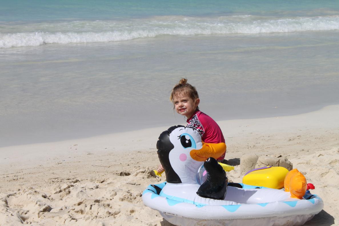 Name: IMG_8070.jpg
Views: 670
Size: 90.3 KB