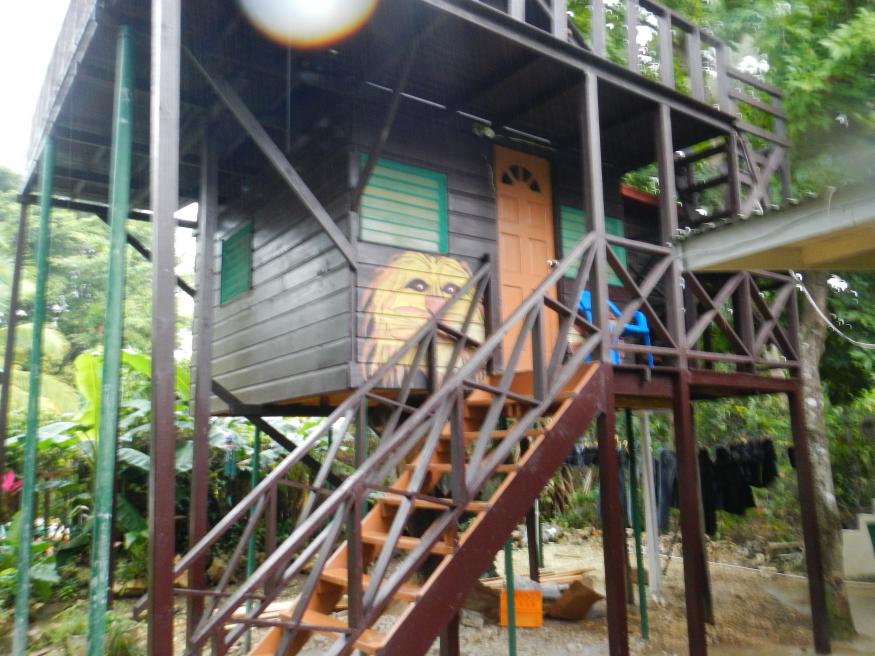 Name:  DSCN2081.jpg
Views: 688
Size:  94.2 KB